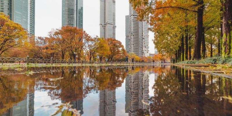 Seoul Forest & Konkuk